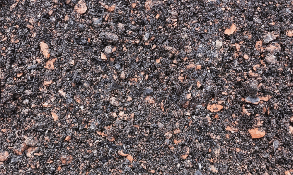 freepik generate a new picture of this tree substrate 57741